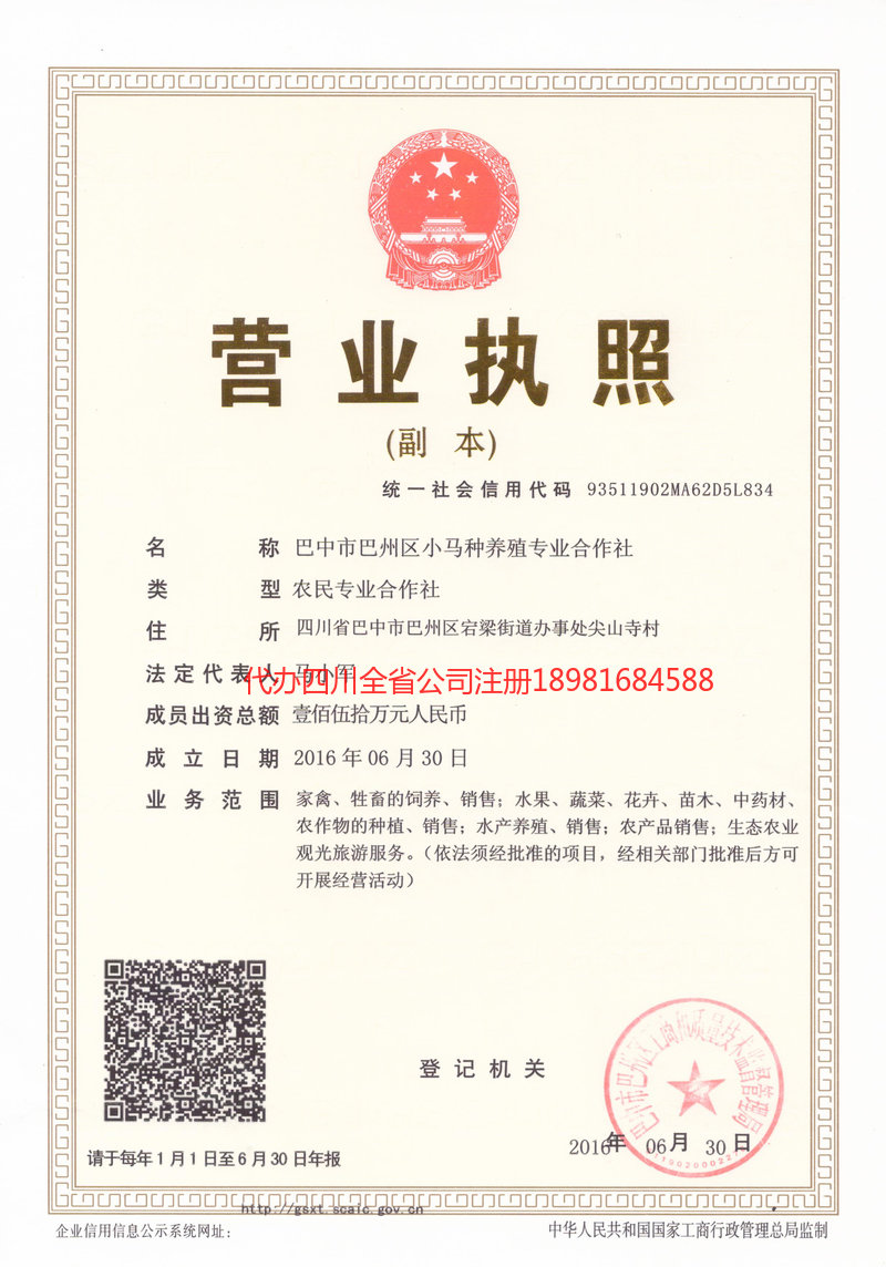 永济永济小马种养殖专业合作社